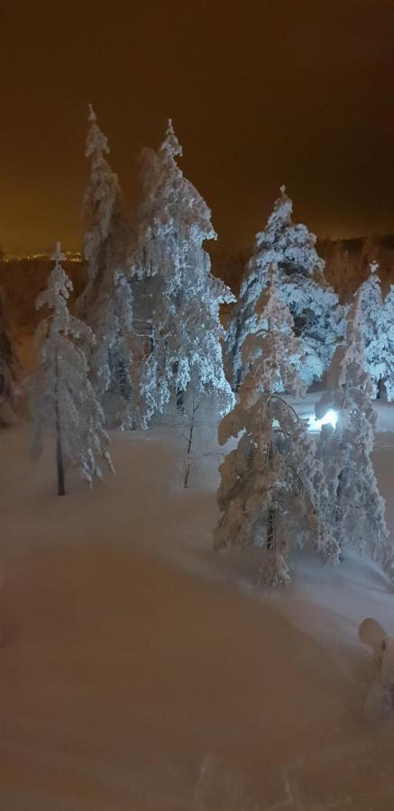 Apartman Mina Дівчибаре Екстер'єр фото